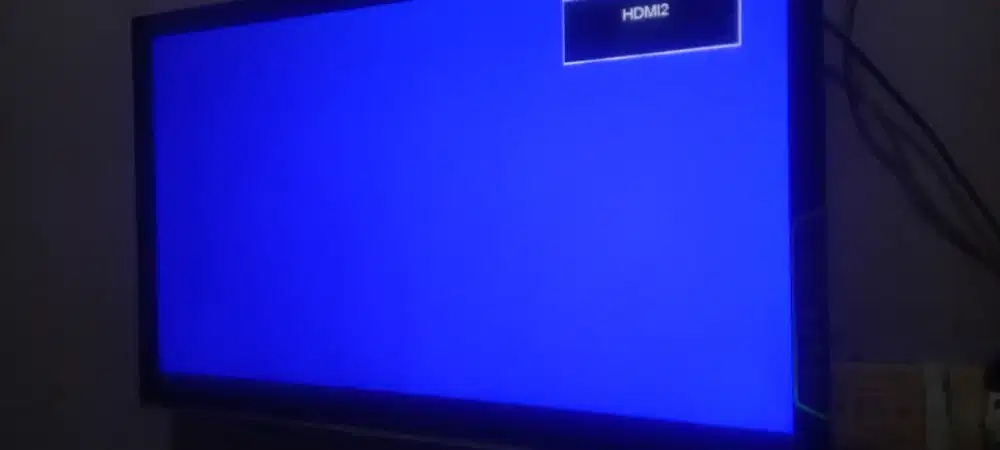 Polytron 32 normal