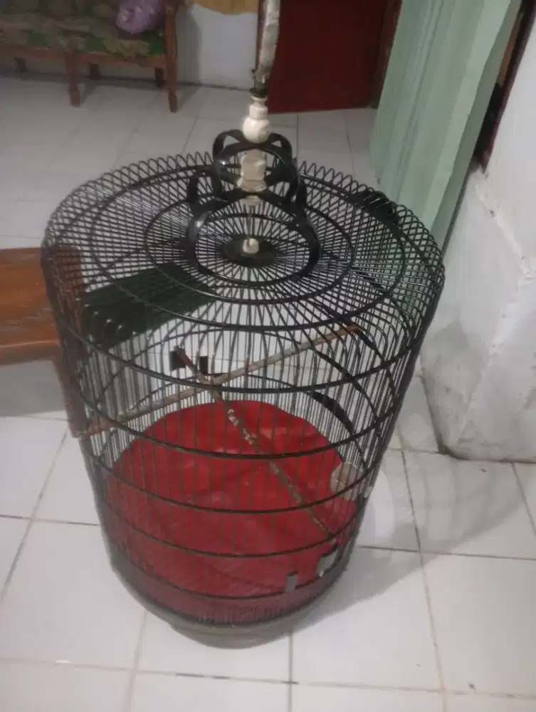 Kandang murai bnr model lama