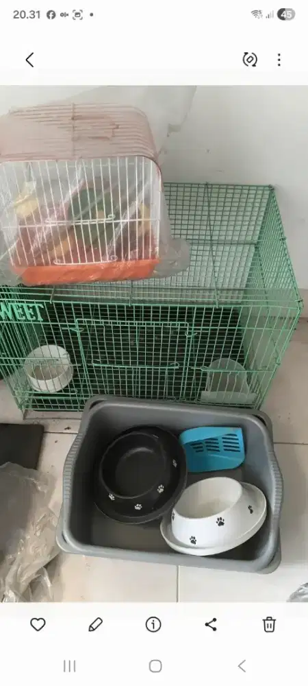 Kandang kucing/burung