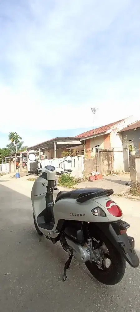 Honda scoopy tahun 2025