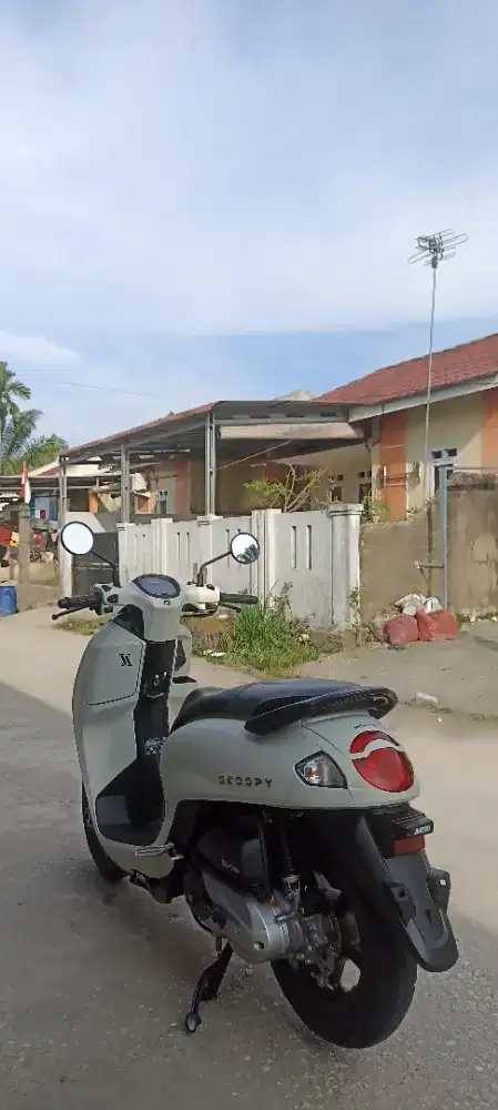 Honda scoopy tahun 2025
