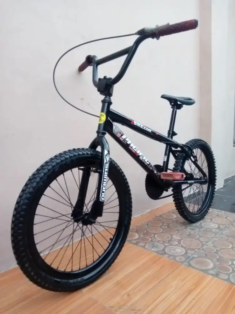 Sepeda BMX Basick PHOENIX Ukuran 20.