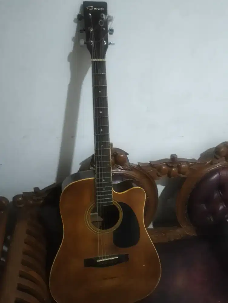 Gitar Brand Caraya F 831N.