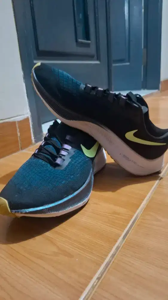 Nike Zoom Pegasus 37