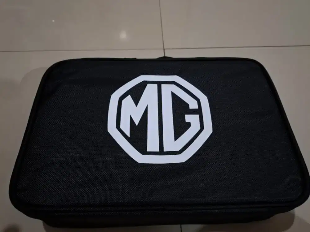 For sale V2L MG EV