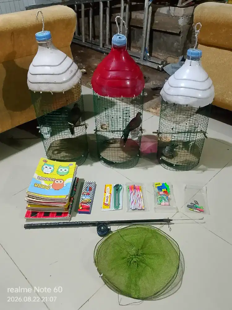 3 ekor burung fullset  semuanya