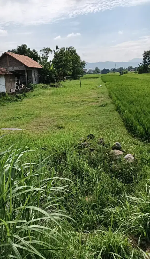 Tanah pekarangan strategis Sleman