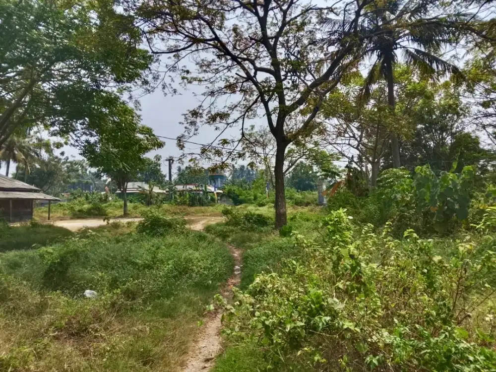 Dijual Tanah Hook di Pakuhaji, Tangerang
