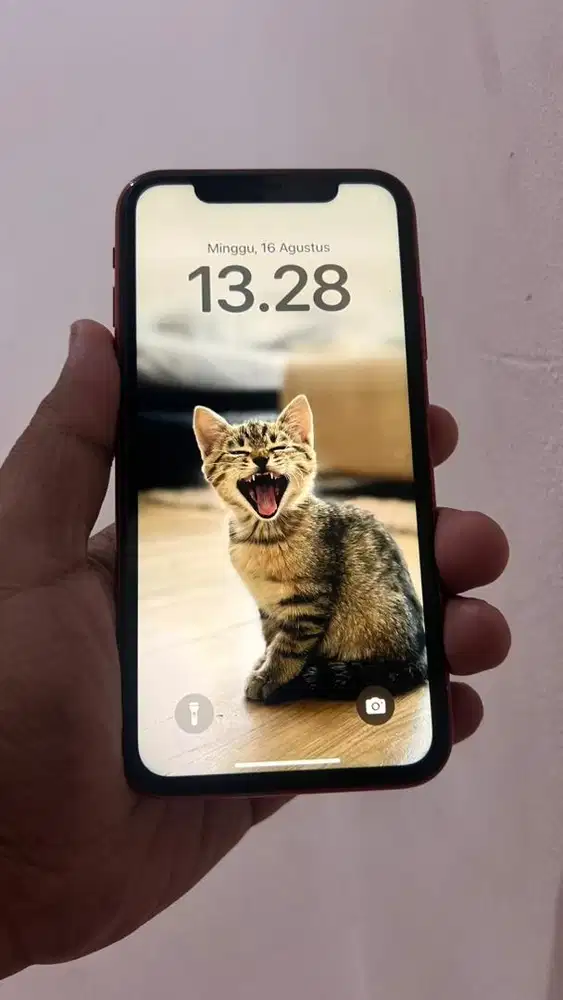 Iphone 11 128 sinyal permanen
