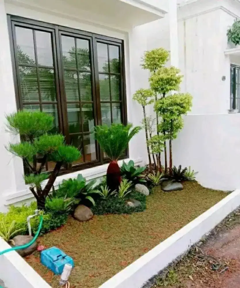 Spesialis Taman dan kolam koi