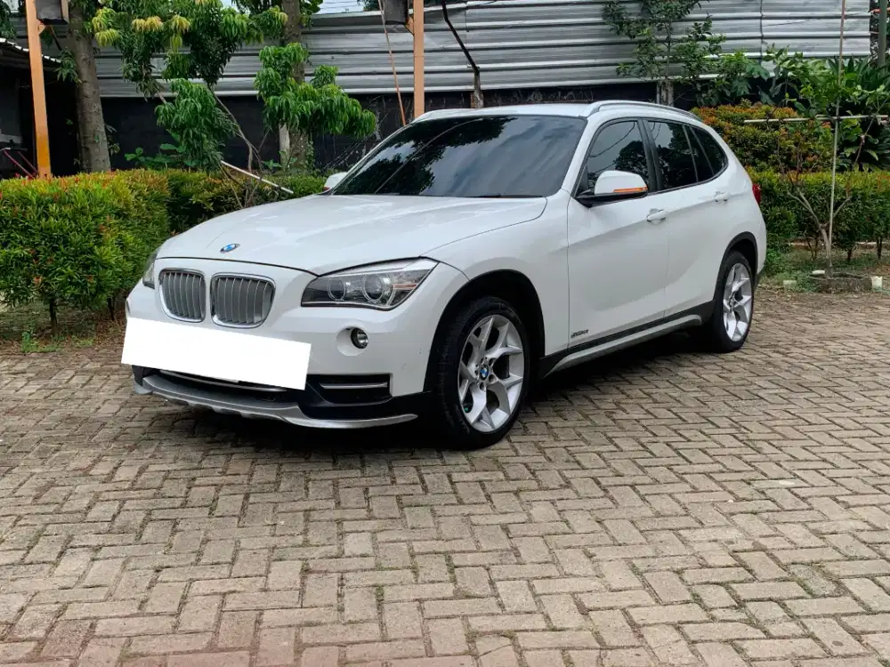 BMW X1 sDrive18i xLine E84