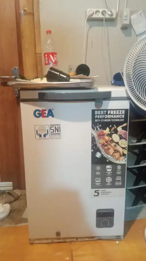 Frezzer Gea 100 liter