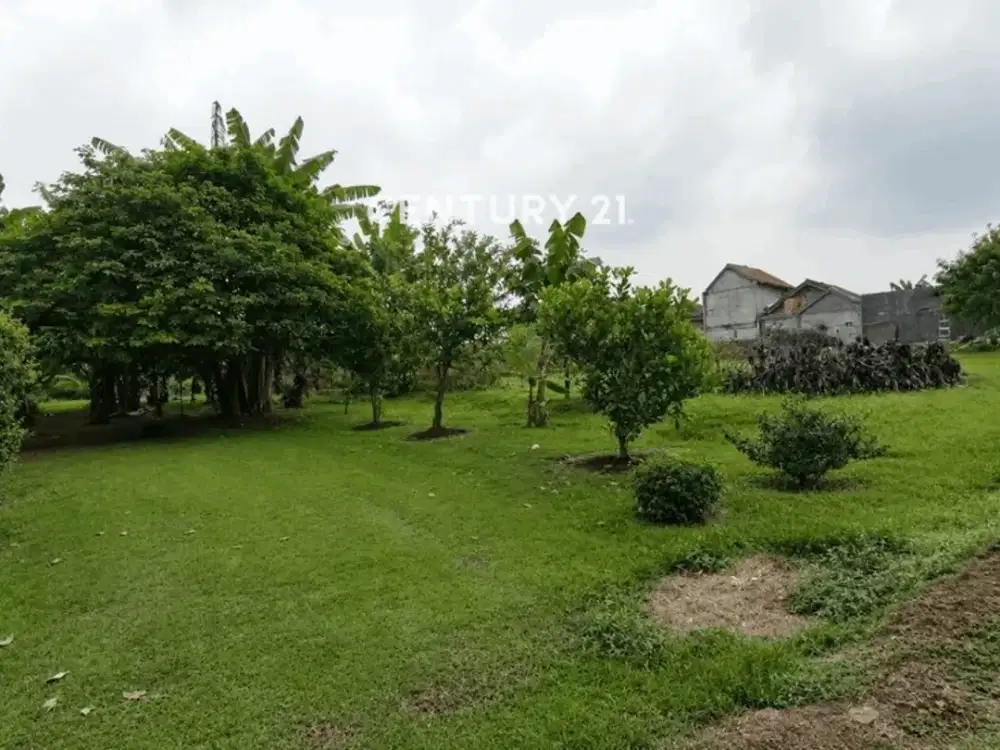 Dijual Kavling Siap Bangun Cocok Untuk Cluster Lokasi Di CISAUK