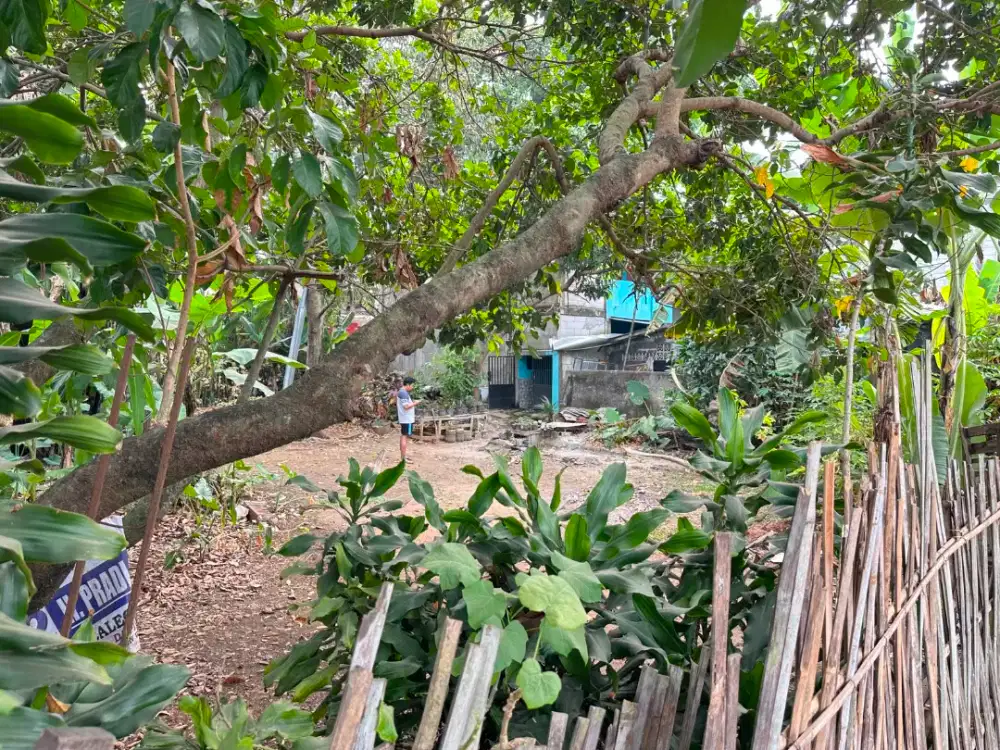 Tanah 345 m2 - SHM