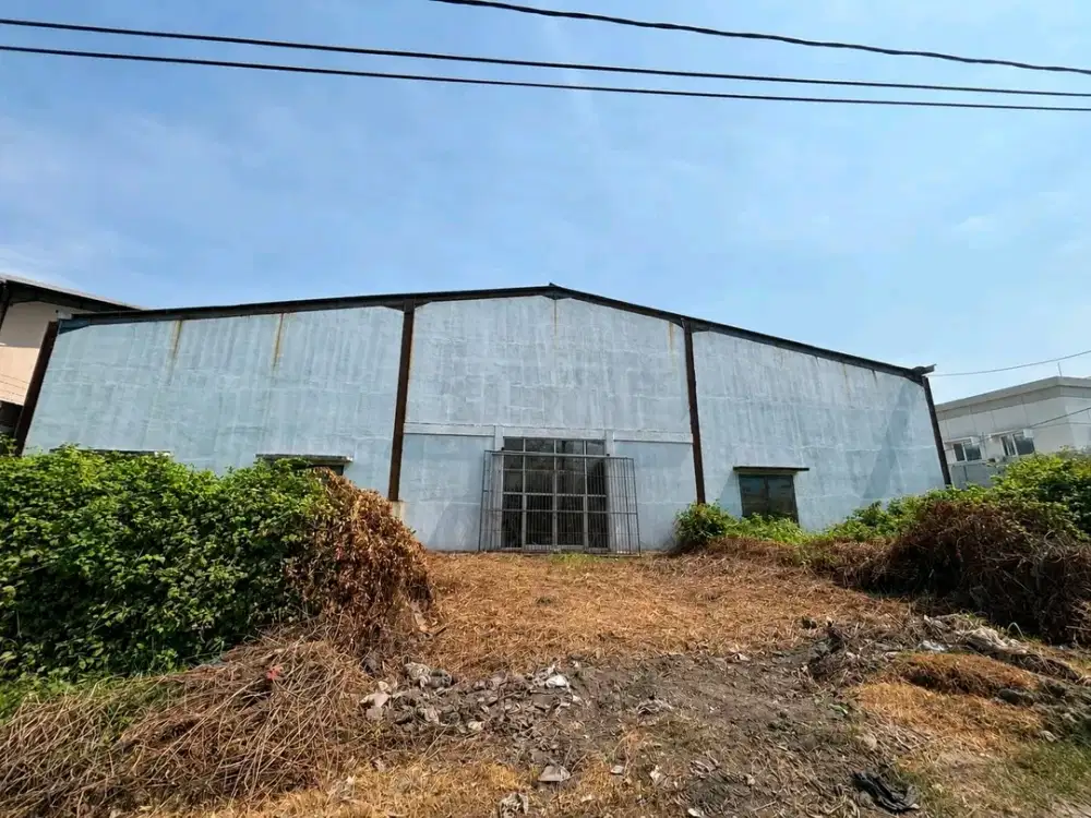 TAMBAK SAWAH