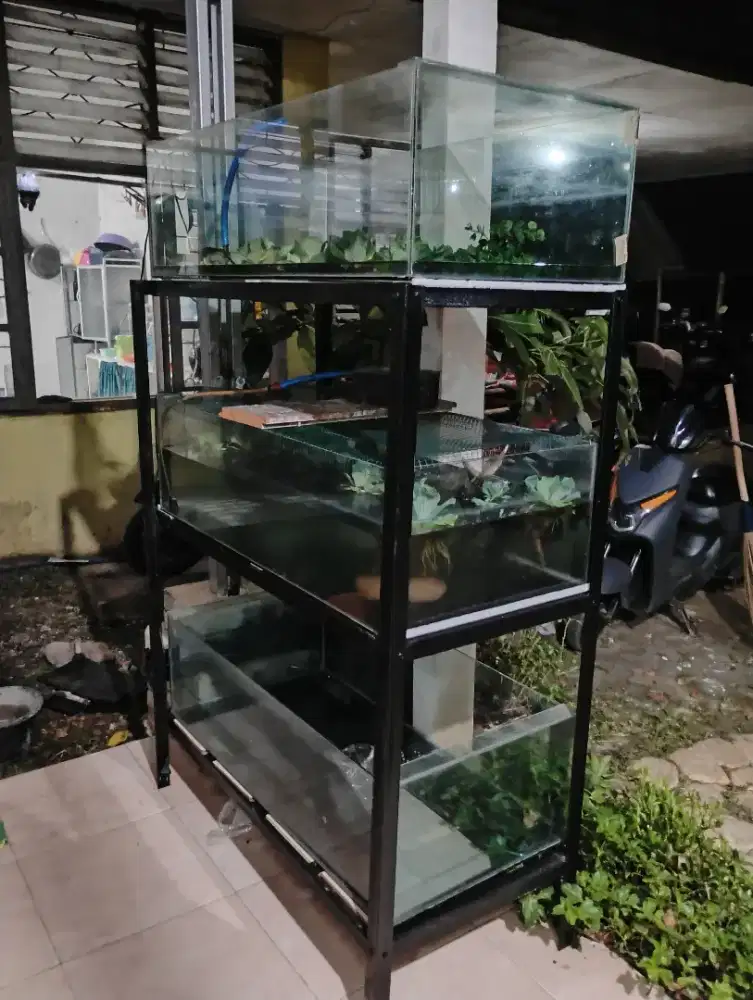 Aquarium 100x50x30