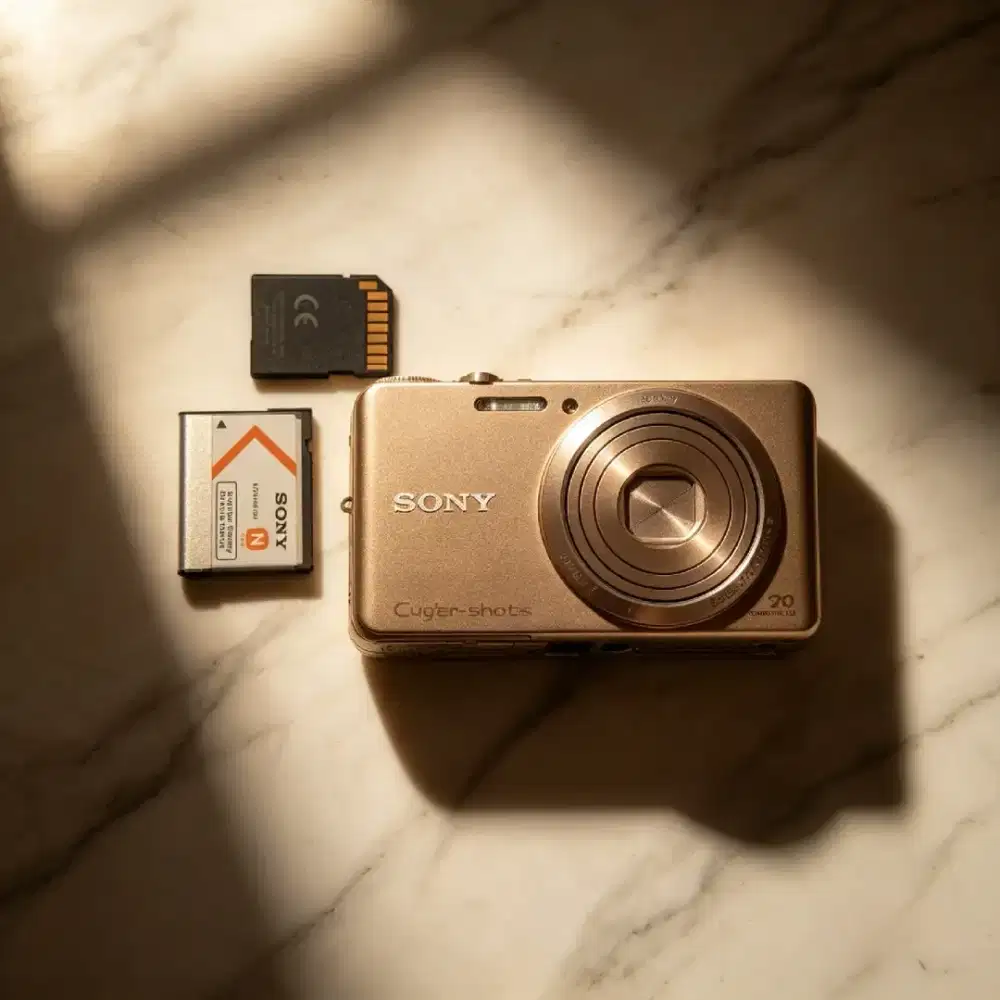 Kamera Sony Cyber-shot DSC-W570