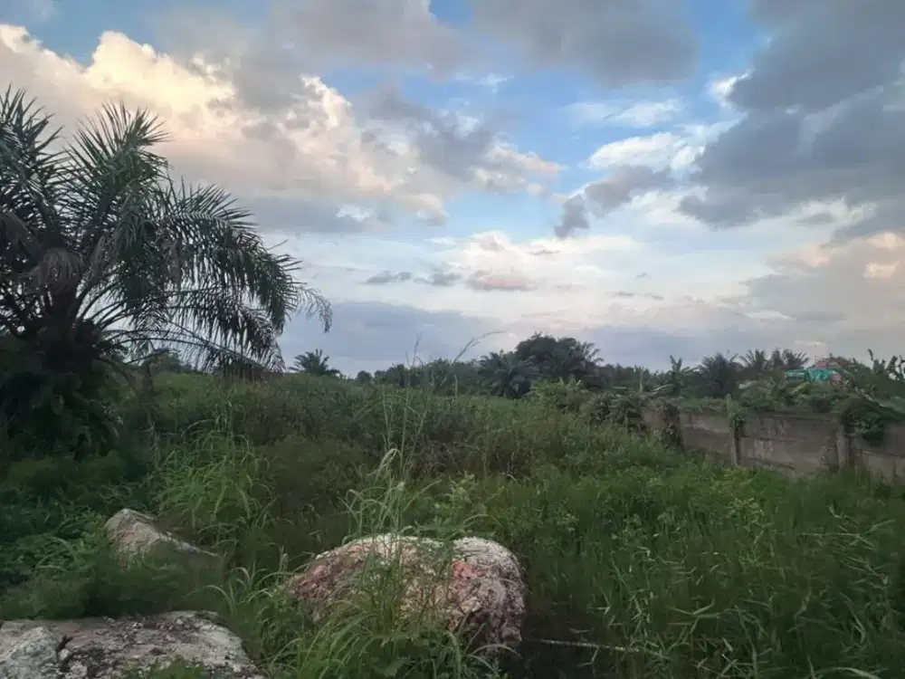 Dijual Lahan Jalan Noerdin Panji Kebun Sayur Sukajaya Palembang