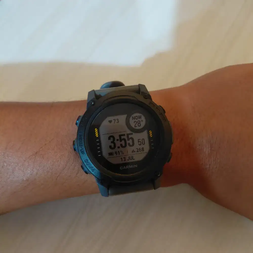 Garmin Descent G1