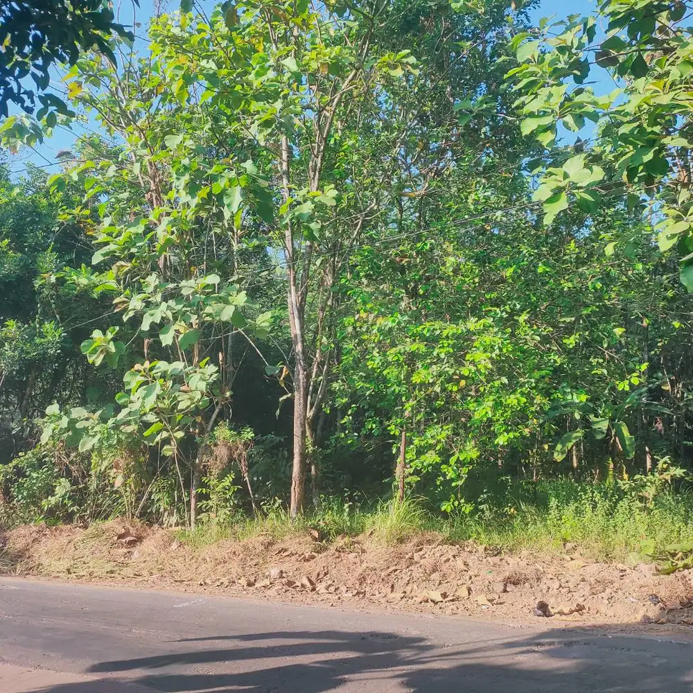 Jual tanah 684m desa ngabul tahunan Jepara
