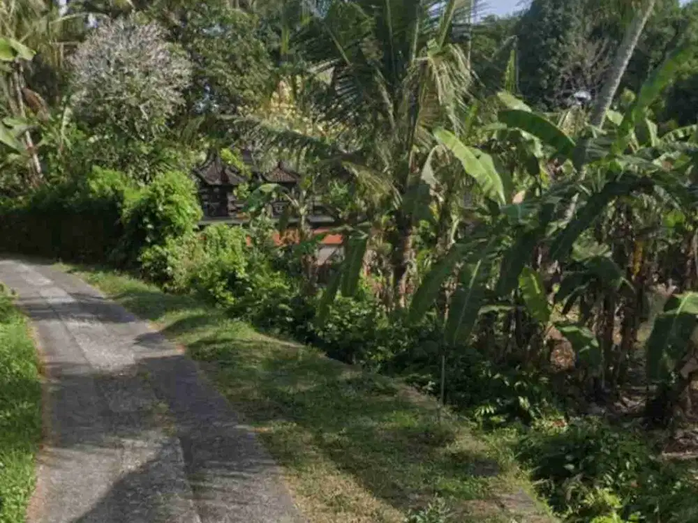 Tanah Zona Kuning Tidak LSD di Mambang Tabanan Bali