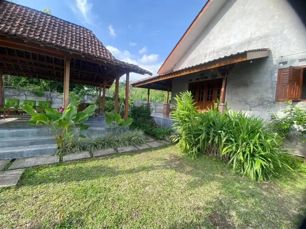 Rumah Luas Asri dengan Pendopo di Guwosari Pajangan Bantul