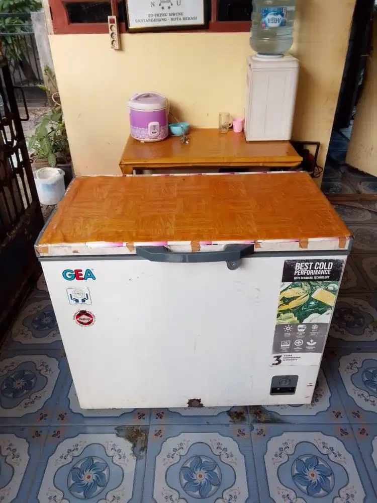 Freezer gea 200Liter