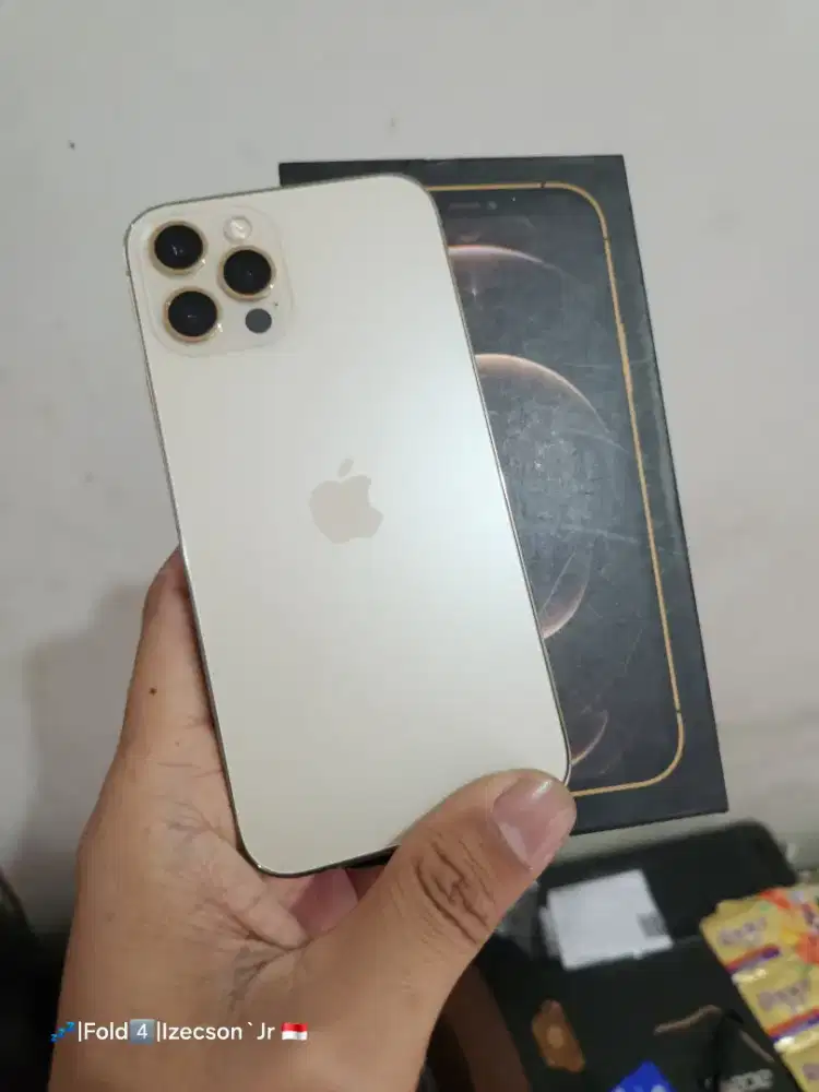 iPhone 12 Pro 256 CH/A Fullset
Kondisi 95% Mulus, All Operator