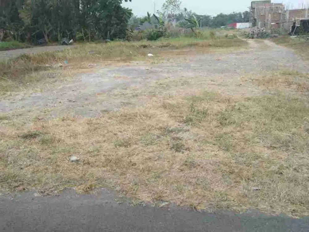 Dijual Cepat Tanah diseputaran Jln Palagan km 7
Sariharjo, Ngaglik, Sleman