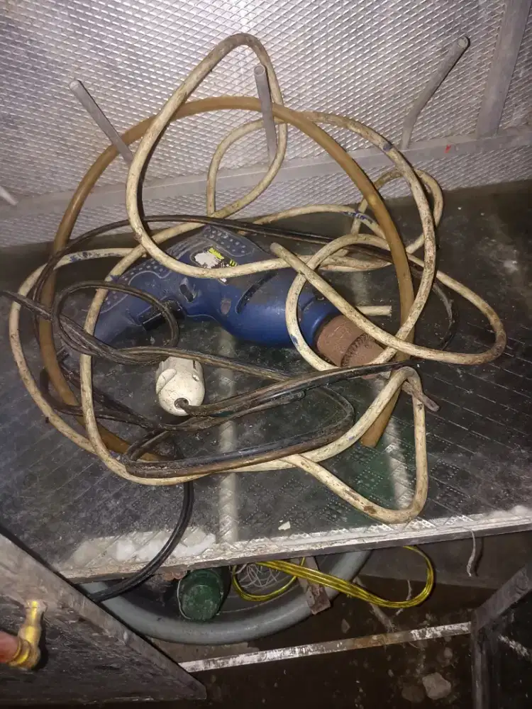DI JUAL BUR MASIH HIDUP LAGI BU