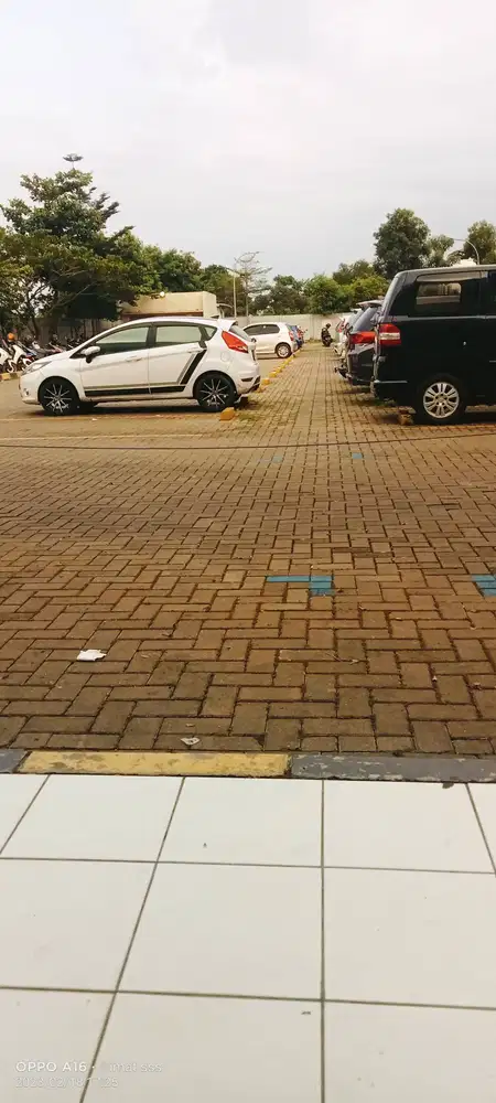 Mencari pekerjaan sebagai driver pribadi