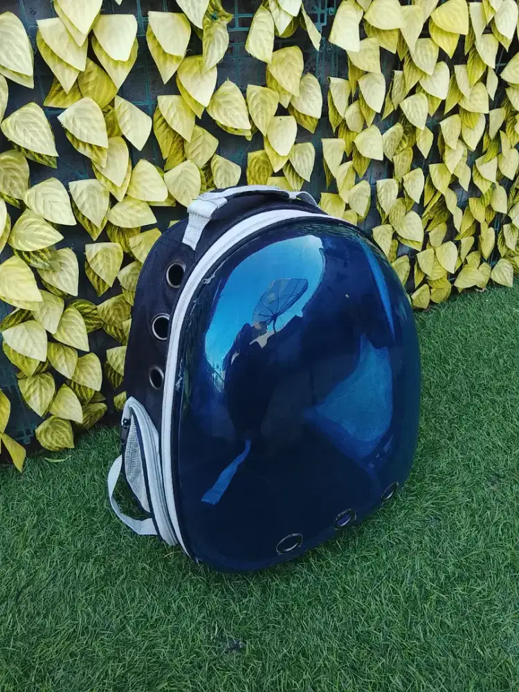 Tas Kucing Astronot