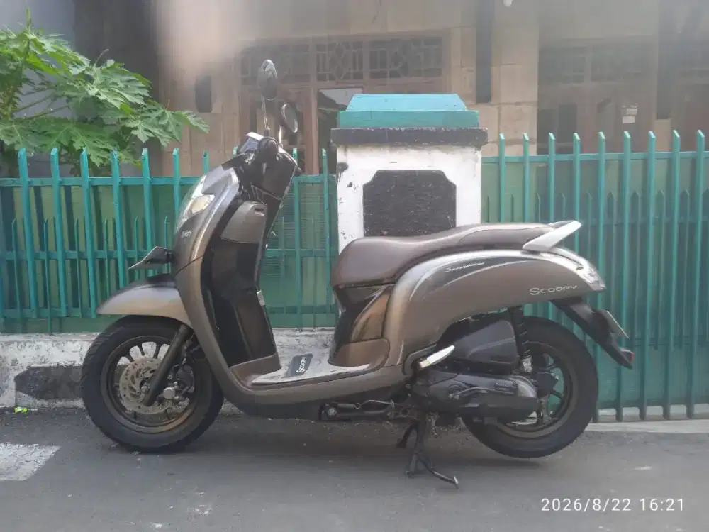 Honda scoopy 2019