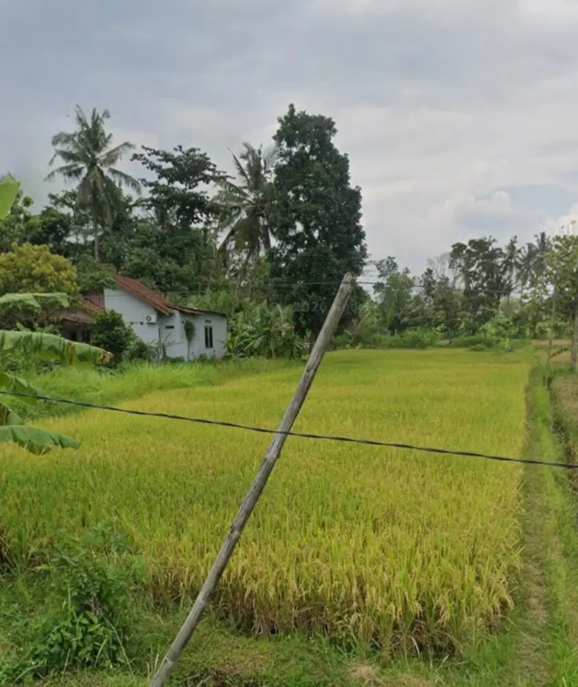 Tanah Sawah di Margorejo Tempel Sleman