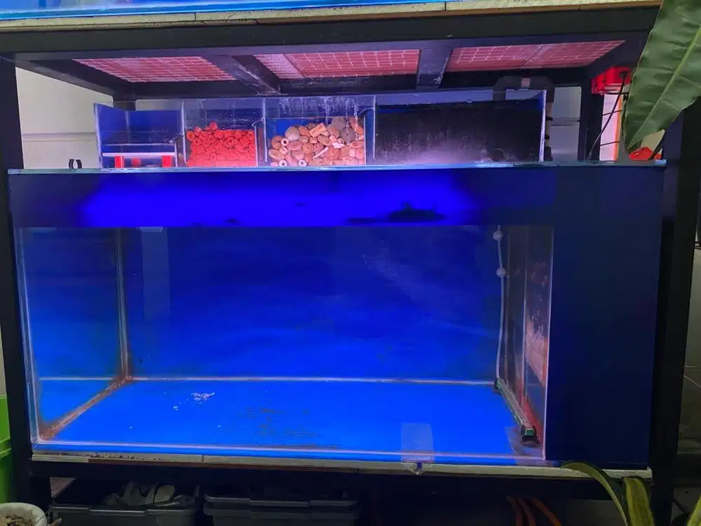 aquarium 110x50x50 siap pakai