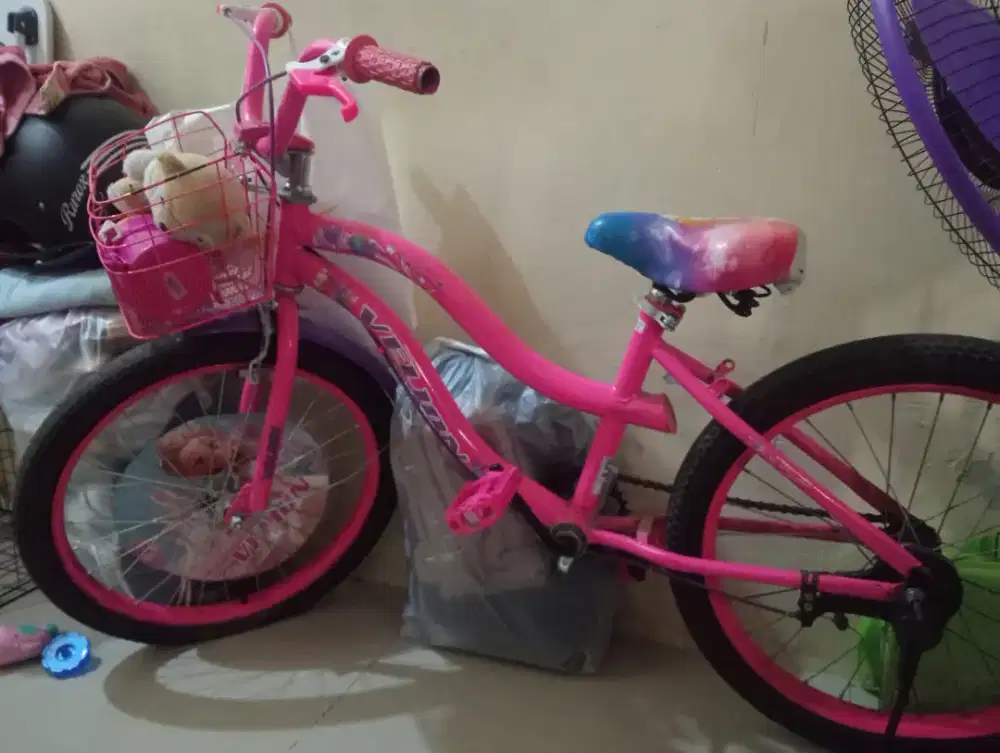Dijual aja 2 sepeda merek velion 700 dapet dua