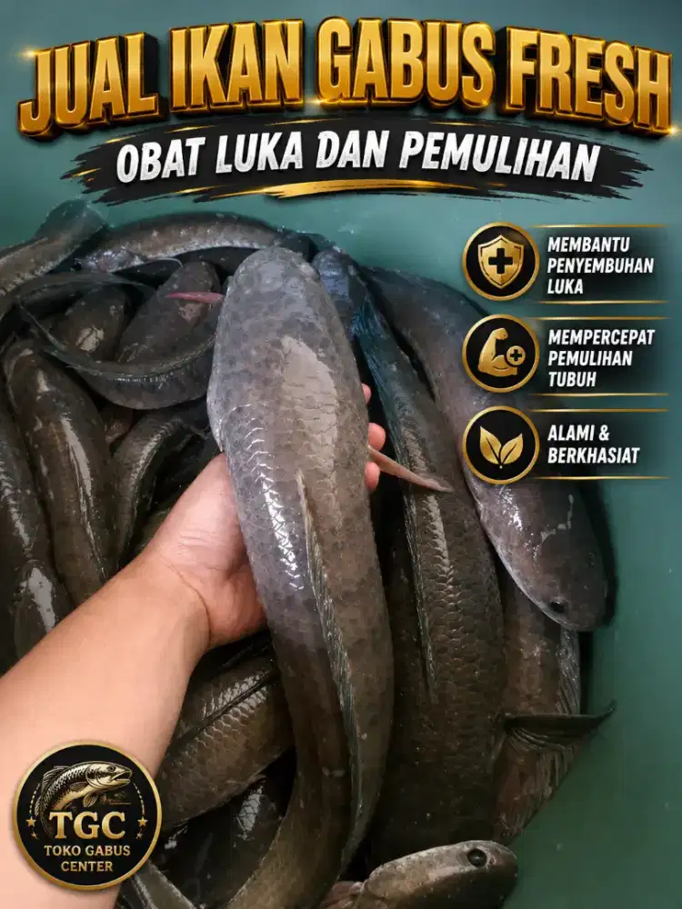Bahan olahan beralbumin