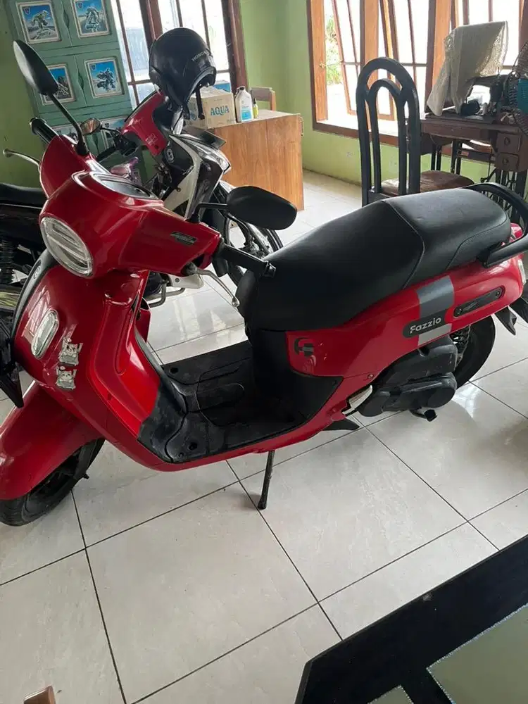 Fazzio merah 2022