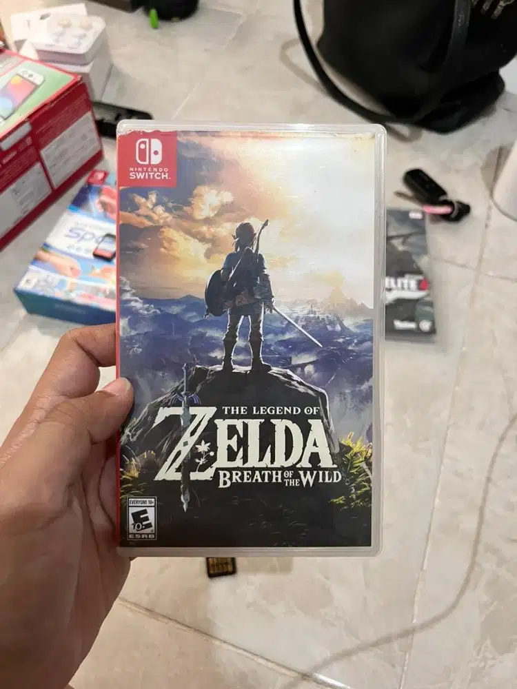 Zelda Breath Of The Fire (BOTW)
