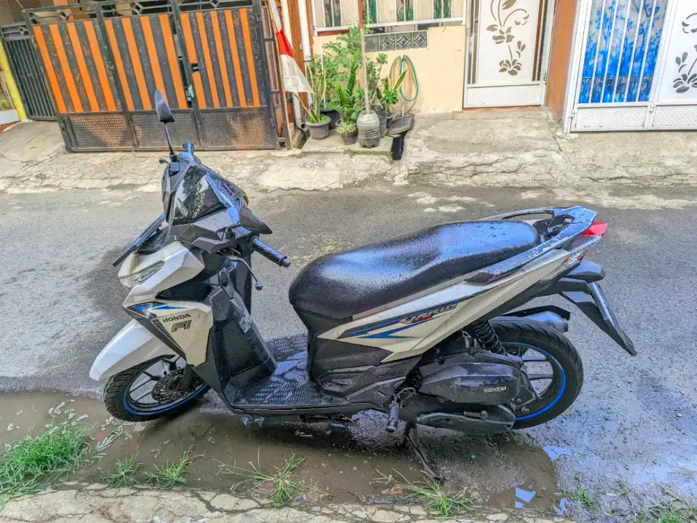 Motor Vario 2017