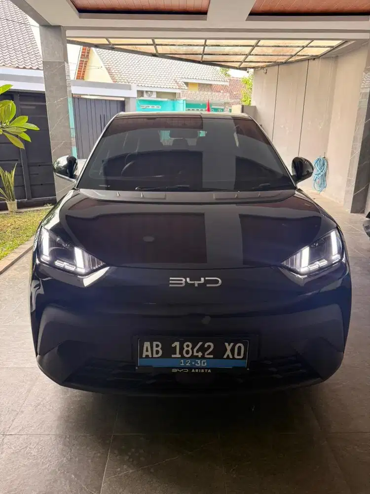 Jual BYD Atto 1 Dynamic