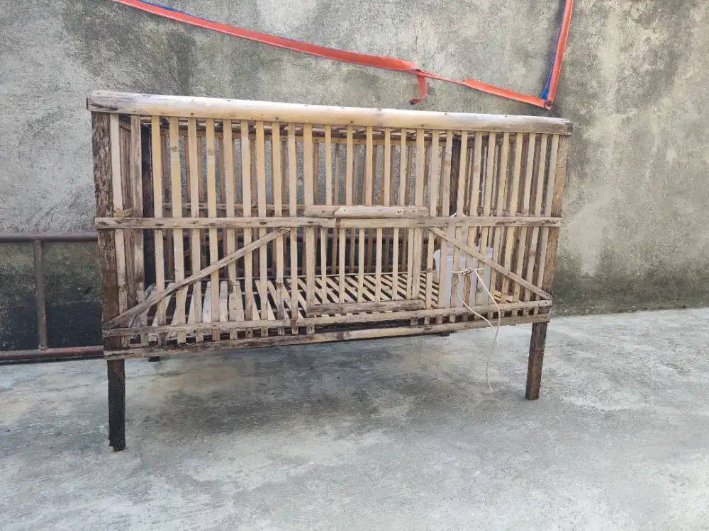 Kandang bekas ayam