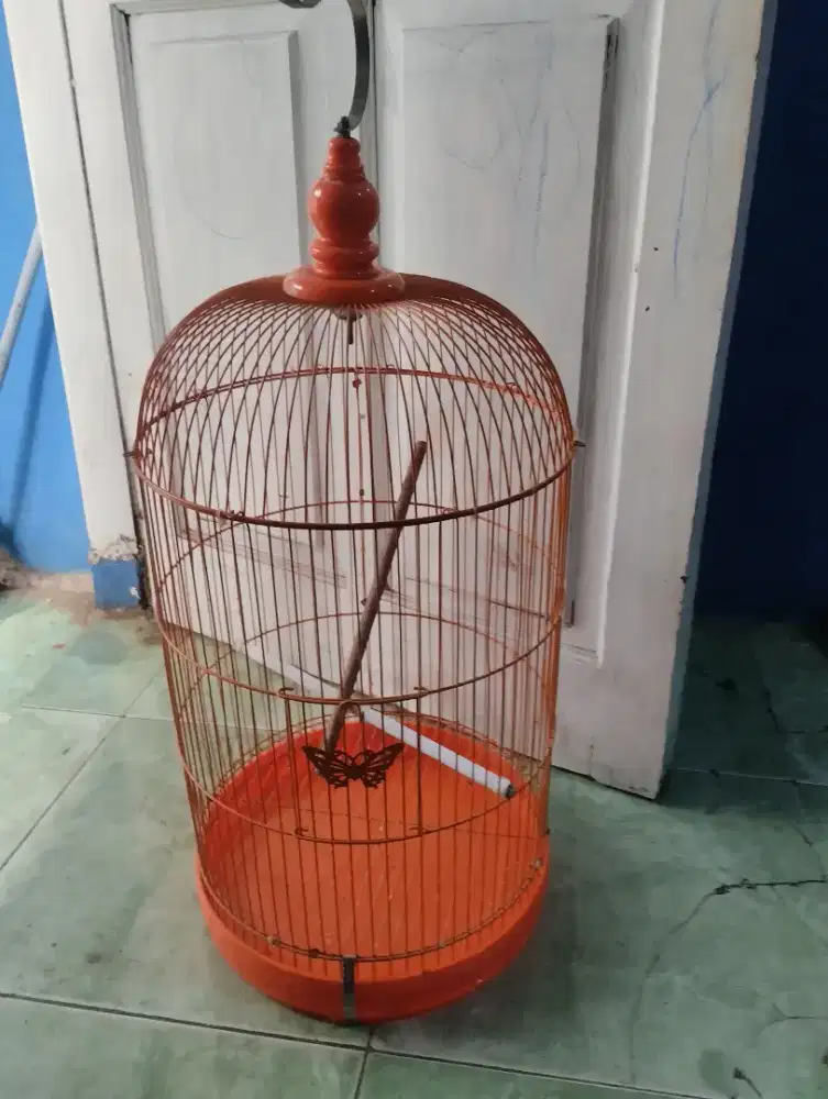 Kandang kapsul Lovebird