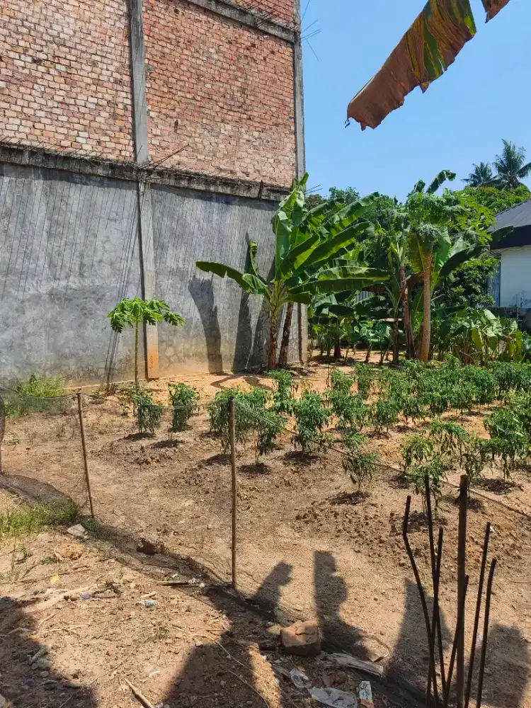 Jual Tanah 295m2