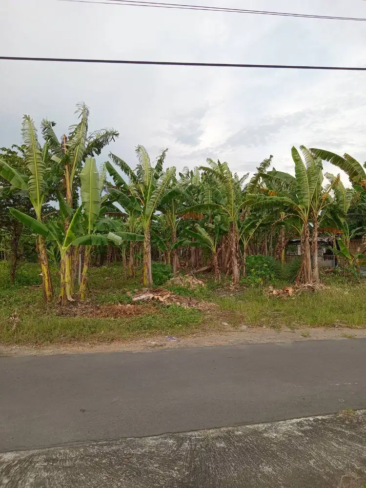 Dijual tanah pekarangan