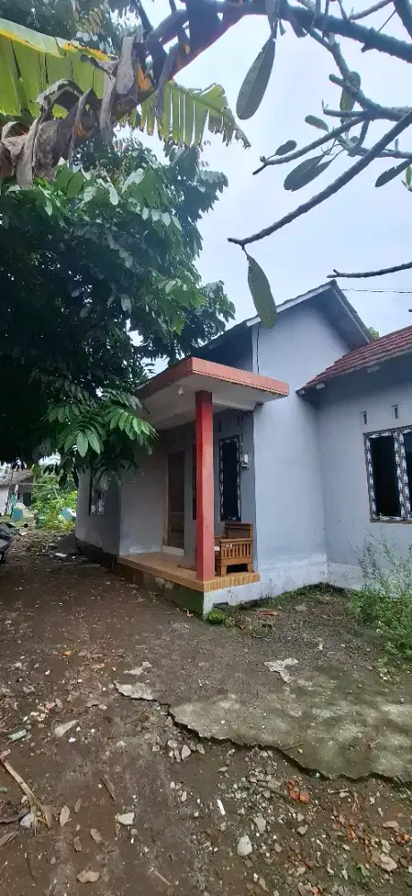 Rumah disewakan