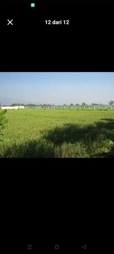 DIJUAL BANGUNAN DAN TANAH NGULING PASURUAN DEKAT TOL DAN STASIUN!