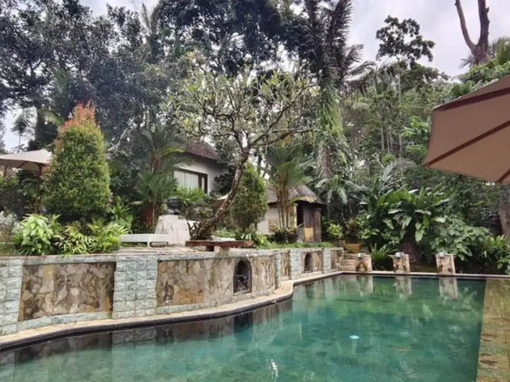TANAH BONUS BANGUNAN HOTEL DI KEDEWATAN UBUD