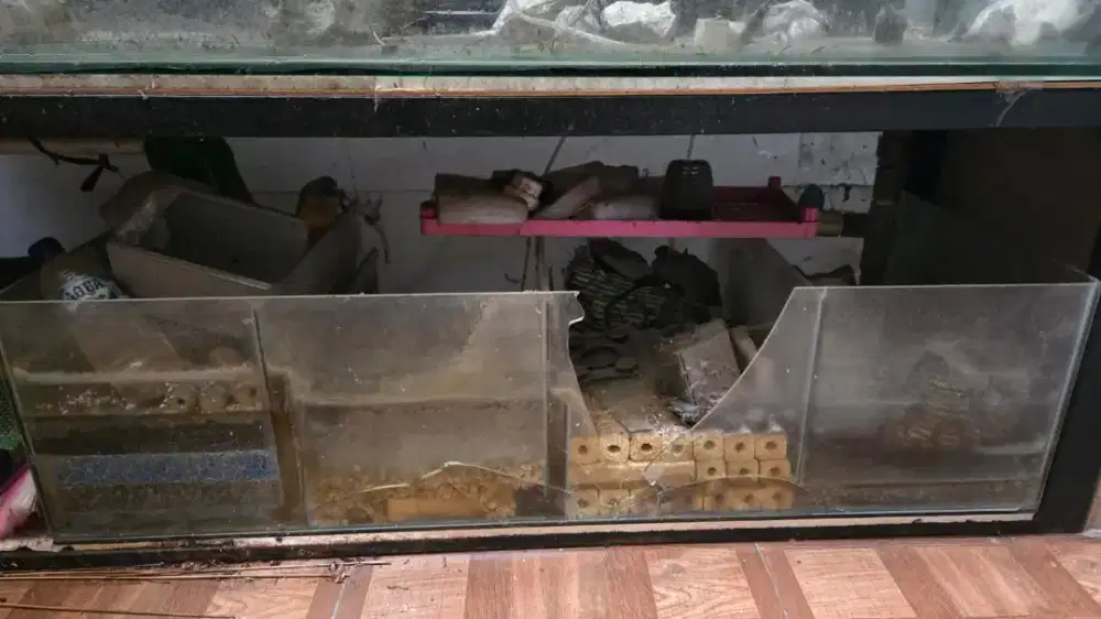 Aquarium, rak, dan asesorisnya