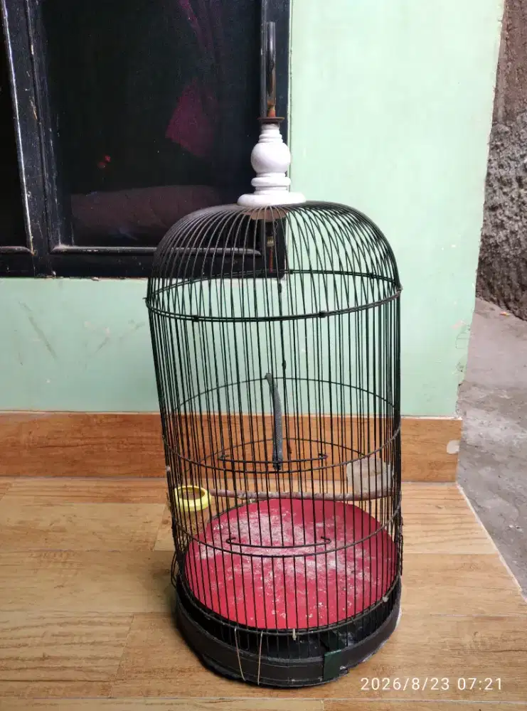 Kandang burung bekas layak pakai